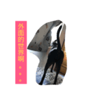 Mix Happy Dog（個別スタンプ：4）