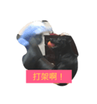 Mix Happy Dog（個別スタンプ：5）