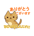 猫 : 感謝の毎日 日本語タイ語（個別スタンプ：1）