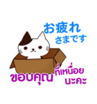 猫 : 感謝の毎日 日本語タイ語（個別スタンプ：2）