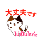 猫 : 感謝の毎日 日本語タイ語（個別スタンプ：9）