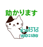 猫 : 感謝の毎日 日本語タイ語（個別スタンプ：10）