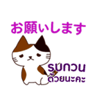 猫 : 感謝の毎日 日本語タイ語（個別スタンプ：11）