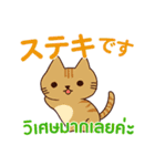 猫 : 感謝の毎日 日本語タイ語（個別スタンプ：13）