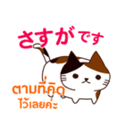 猫 : 感謝の毎日 日本語タイ語（個別スタンプ：14）