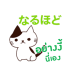 猫 : 感謝の毎日 日本語タイ語（個別スタンプ：15）