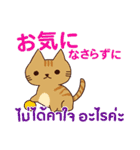 猫 : 感謝の毎日 日本語タイ語（個別スタンプ：16）