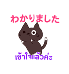 猫 : 感謝の毎日 日本語タイ語（個別スタンプ：21）