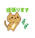 猫 : 感謝の毎日 日本語タイ語（個別スタンプ：24）