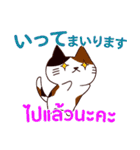 猫 : 感謝の毎日 日本語タイ語（個別スタンプ：29）