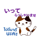 猫 : 感謝の毎日 日本語タイ語（個別スタンプ：30）