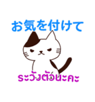 猫 : 感謝の毎日 日本語タイ語（個別スタンプ：32）