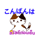 猫 : 感謝の毎日 日本語タイ語（個別スタンプ：35）