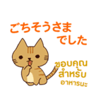 猫 : 感謝の毎日 日本語タイ語（個別スタンプ：39）