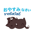 猫 : 感謝の毎日 日本語タイ語（個別スタンプ：40）