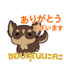 犬 : 感謝の毎日 日本語タイ語（個別スタンプ：1）