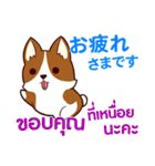 犬 : 感謝の毎日 日本語タイ語（個別スタンプ：2）