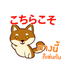 犬 : 感謝の毎日 日本語タイ語（個別スタンプ：5）