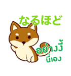 犬 : 感謝の毎日 日本語タイ語（個別スタンプ：15）