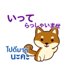 犬 : 感謝の毎日 日本語タイ語（個別スタンプ：30）