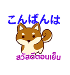 犬 : 感謝の毎日 日本語タイ語（個別スタンプ：35）