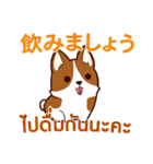 犬 : 感謝の毎日 日本語タイ語（個別スタンプ：37）