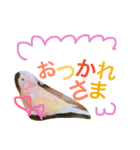 アキクサインコのりゅうのすけ2（個別スタンプ：7）