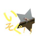アキクサインコのりゅうのすけ2（個別スタンプ：14）