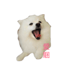 l love lulala（個別スタンプ：1）