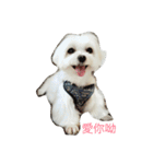 l love lulala（個別スタンプ：3）