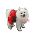 l love lulala（個別スタンプ：5）