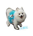 l love lulala（個別スタンプ：6）