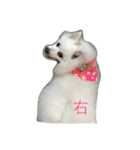 l love lulala（個別スタンプ：8）