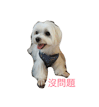 l love lulala（個別スタンプ：14）
