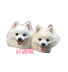 l love lulala（個別スタンプ：15）