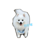 l love lulala（個別スタンプ：17）