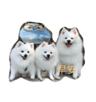 l love lulala（個別スタンプ：18）