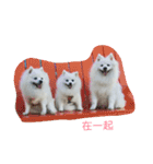 l love lulala（個別スタンプ：21）