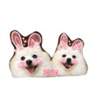 l love lulala（個別スタンプ：25）