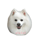 l love lulala（個別スタンプ：38）