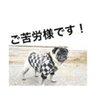 ゴールデン甘えん坊ビート(犬友編)（個別スタンプ：31）