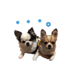 怪獣ひまゴンその2（個別スタンプ：14）