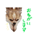 怪獣ひまゴンその2（個別スタンプ：15）
