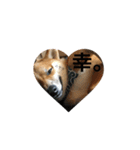 柴犬のユキくんは甘えん坊（個別スタンプ：12）