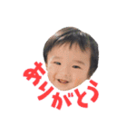 うちの子たちです。（個別スタンプ：1）