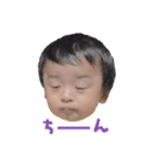 うちの子たちです。（個別スタンプ：5）