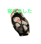 可愛いなおくんスタンプ2（個別スタンプ：11）
