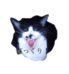 ふくちゃんー（個別スタンプ：8）