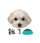 Bagel and her friends.（個別スタンプ：14）