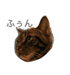 mocamugi（個別スタンプ：5）